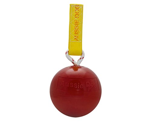 Algopix Similar Product 12 - Aussie Dog Products Roady Ball