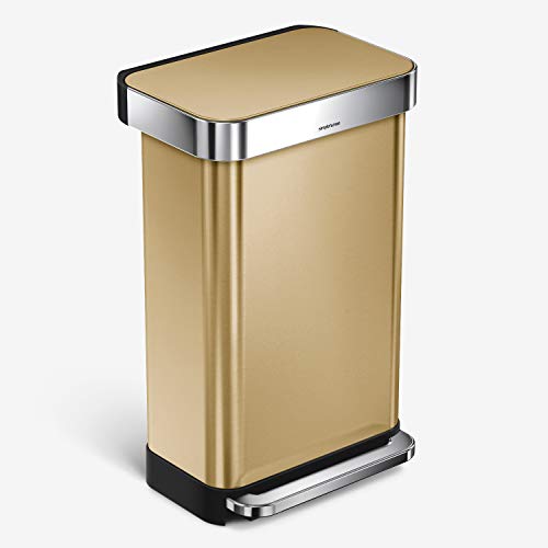 Algopix Similar Product 13 - simplehuman 45 Liter  12 Gallon Trash