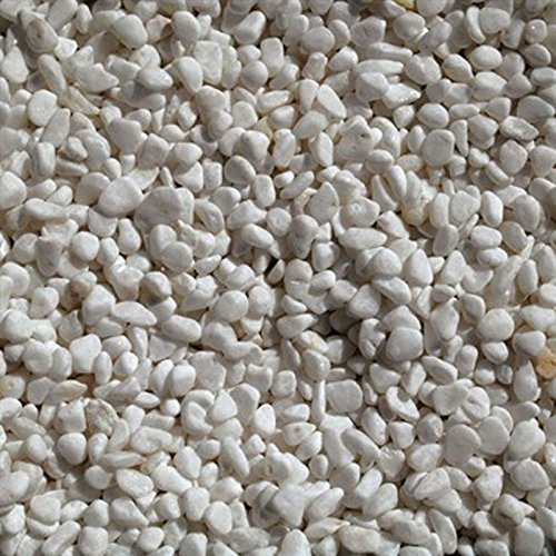 Algopix Similar Product 18 - Exotic 100532853 20 lb Bean Pebbles
