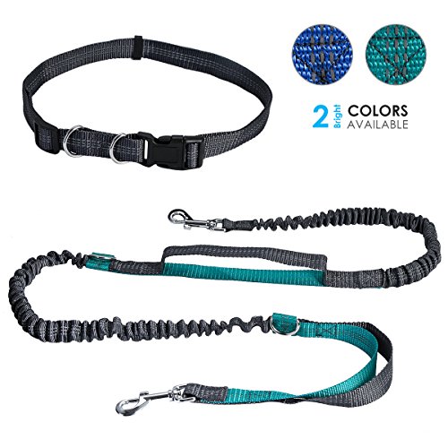 Algopix Similar Product 9 - Petyoung2018 Hands Free Dog Leash