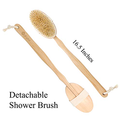 Algopix Similar Product 7 - 6 Pcs Premium Boar Bristle Shower Brush