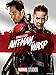 Algopix Similar Product 8 - Ant-Man and the Wasp