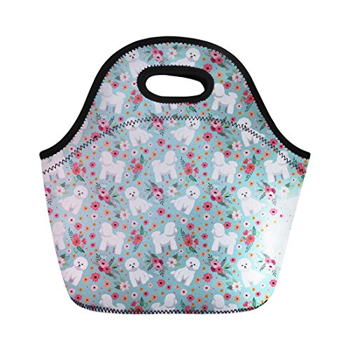 Algopix Similar Product 9 - Coloranimal Reusable Lightweight