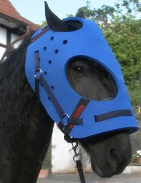 Algopix Similar Product 18 - EquiVizor MultiPurpose Helmet for