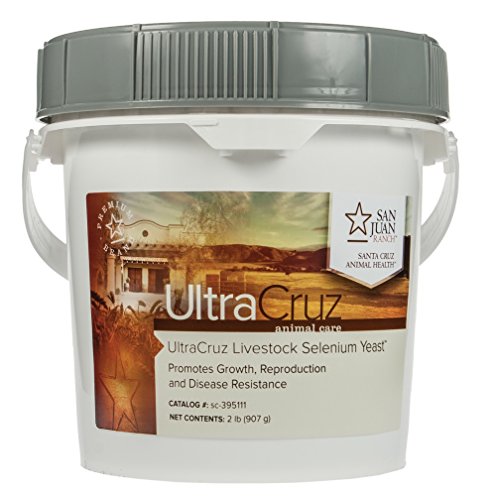 Algopix Similar Product 16 - UltraCruz Livestock Selenium Yeast