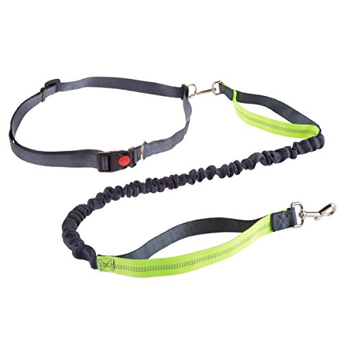 Algopix Similar Product 6 - PETMAKER HandsFree Dog LeashDual