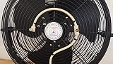 Algopix Similar Product 18 - Outdoor Fans  Patio Misting Fans 