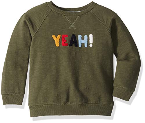 Algopix Similar Product 17 - Gymboree Boys Big Long Sleeve Sweater