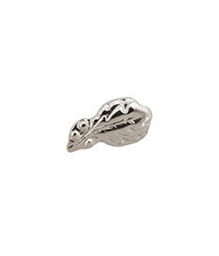 Algopix Similar Product 2 - 1 Oak Leaf Cluster 516 Silver Ribbon