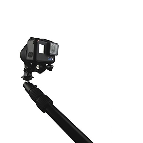 Algopix Similar Product 12 - Noir Matter - The Pole
