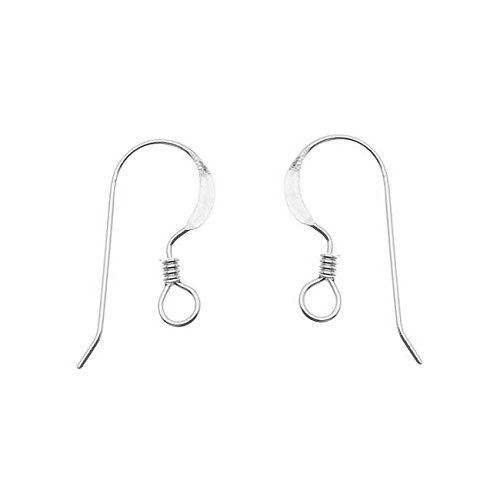 Algopix Similar Product 18 - Beadaholique Earring Hooks French Wire