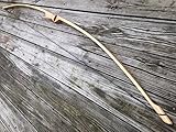 Algopix Similar Product 15 - 64 Competition or Hunting Bow 