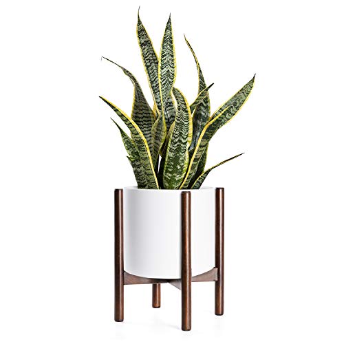 Algopix Similar Product 18 - TIMEYARD Mid Century Plant Stand  Up