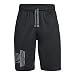 Algopix Similar Product 2 - Under Armour Boys UA Prototype Logo