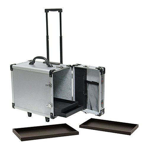 Algopix Similar Product 20 - SSWBasics Jewelry Case for Travel and