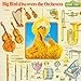 Algopix Similar Product 19 - Sesame Street Big Bird Discovers the