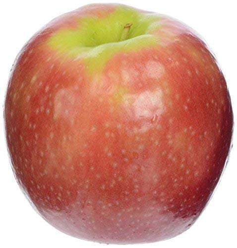 Algopix Similar Product 1 - Viva Tierra Apple Pink Cripps Whole