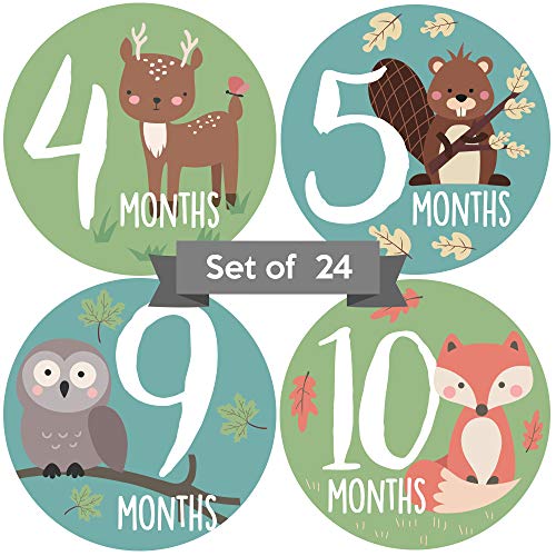 Algopix Similar Product 13 - Baby Monthly Stickers  Woodland