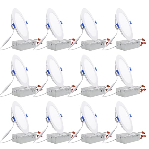Algopix Similar Product 16 - TORCHSTAR 12Pack Essential Series 6
