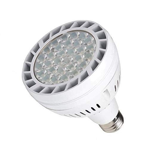 Algopix Similar Product 19 - 
