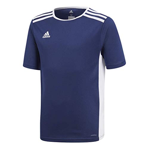 Algopix Similar Product 16 - adidas Boys Entrada 18 AEROREADY
