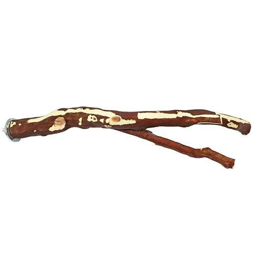 Algopix Similar Product 20 - Exotic Nutrition Manzanita Branch Thin