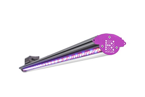 Algopix Similar Product 5 - Kind LED X80 4Foot 80w Indoor LED Grow