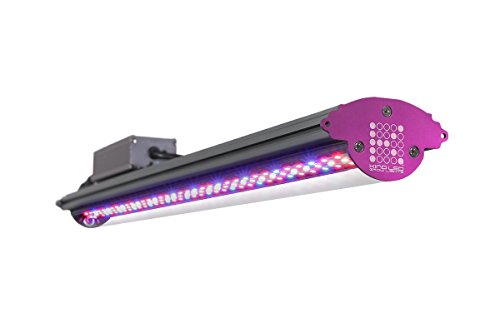 Algopix Similar Product 6 - Kind LED X40 2Foot 40w Indoor LED Grow