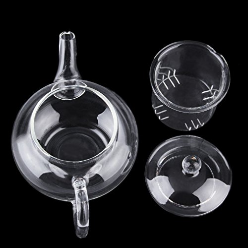Algopix Similar Product 19 - Maexus Heat Resistan Glass Teapot With