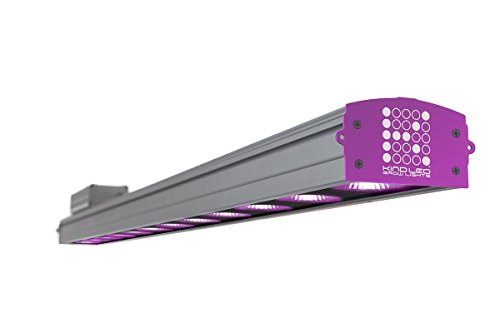 Algopix Similar Product 18 - Kind LED XC150 150w 4Foot Indoor LED