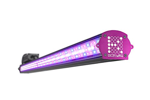 Algopix Similar Product 1 - Kind LED 75w Double Sided X Series XD75