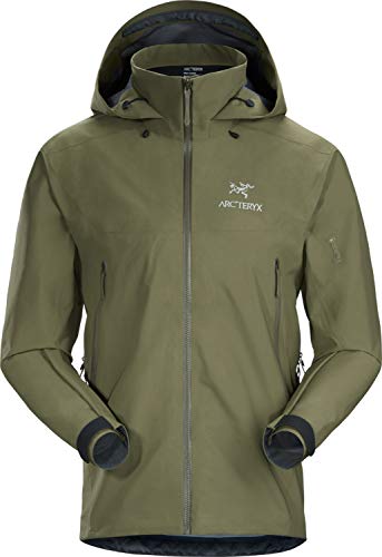 Algopix Similar Product 5 - Arcteryx Beta AR Jacket Mens 