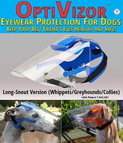 Algopix Similar Product 11 - Optivizor Clear UV MedicalPreventative