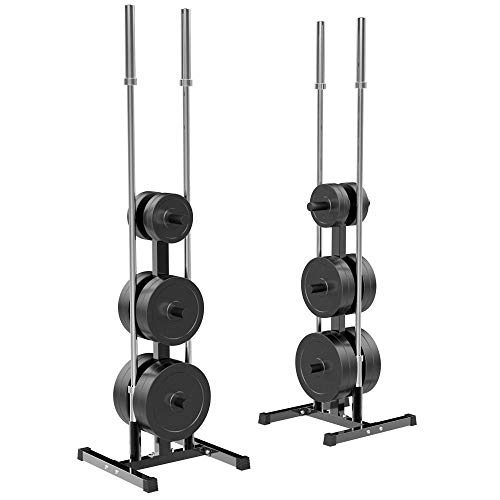 Algopix Similar Product 2 - Yaheetech Olympic Weight Rack with Bar