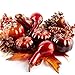 Algopix Similar Product 16 - Autumn Pinecones Raffia Berry