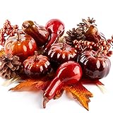Algopix Similar Product 11 - Autumn Pinecones Raffia Berry