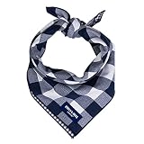 Algopix Similar Product 10 - Rocco  Roxie Dog Bandana  Cute Dog