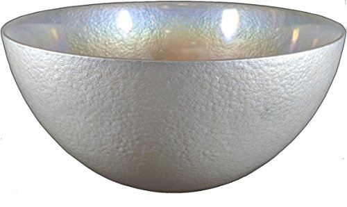 Algopix Similar Product 16 - Circleware 03126 Radiance Glass Serving