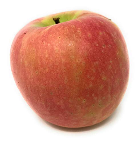 Algopix Similar Product 7 - Apple Pink Lady Whole Trade Guarantee