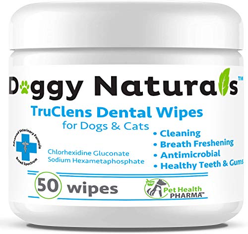 Algopix Similar Product 5 - Dental Wipes for Dogs and Cats  Pads