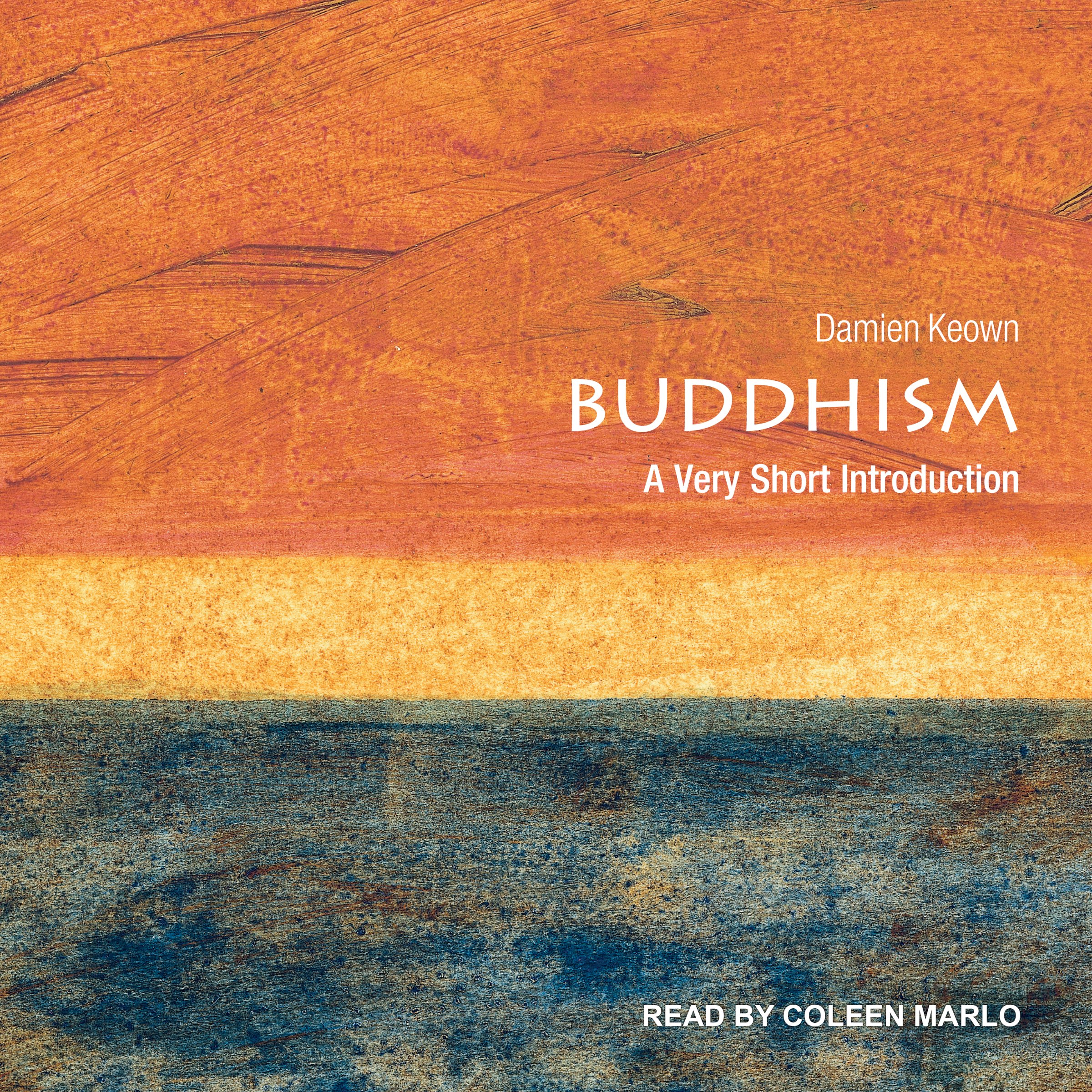 Algopix Similar Product 13 - Buddhism: A Very Short Introduction