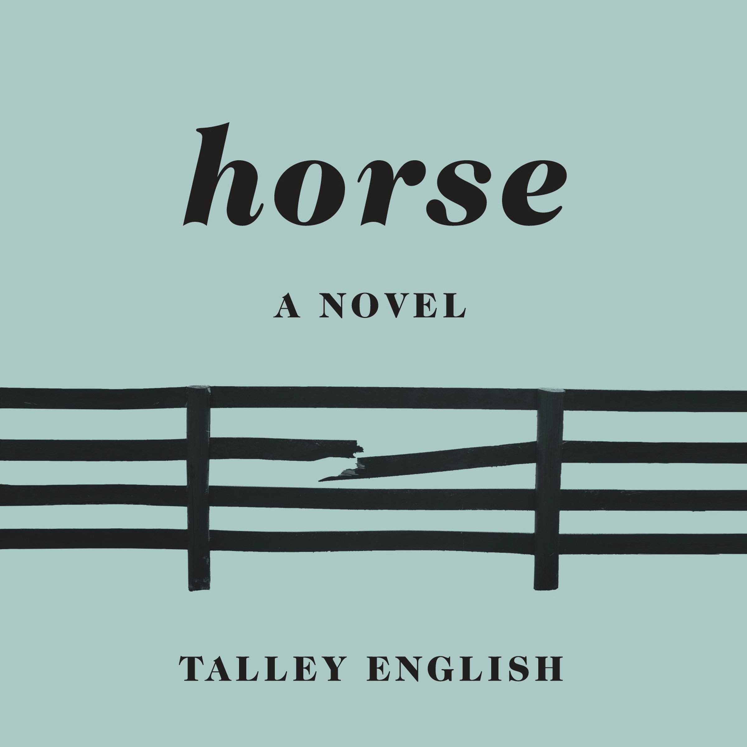 Algopix Similar Product 9 - Horse: A Novel