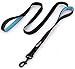 Algopix Similar Product 12 - Primal Pet Gear Dog Leash 6ft Long 