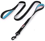 Algopix Similar Product 7 - Primal Pet Gear Dog Leash 6ft Long 