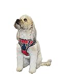 Algopix Similar Product 14 - Marvel Comics Spiderman Dog Harness