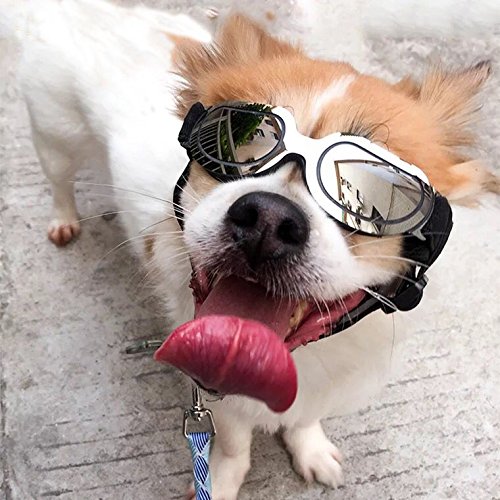 Algopix Similar Product 8 - ZYQL Pet Dog Small Sunglasses Dog