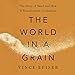 Algopix Similar Product 11 - The World in a Grain The Story of Sand
