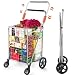 Algopix Similar Product 17 - Wellmax Grocery Shopping Cart with