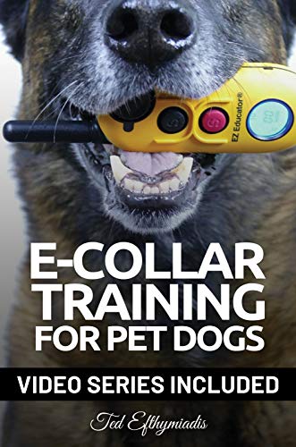 Algopix Similar Product 3 - ECOLLAR TRAINING for Pet Dogs The