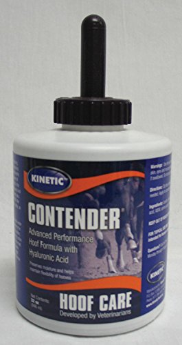 Algopix Similar Product 14 - KINETIC TECHNOLOGIES LLC Contender